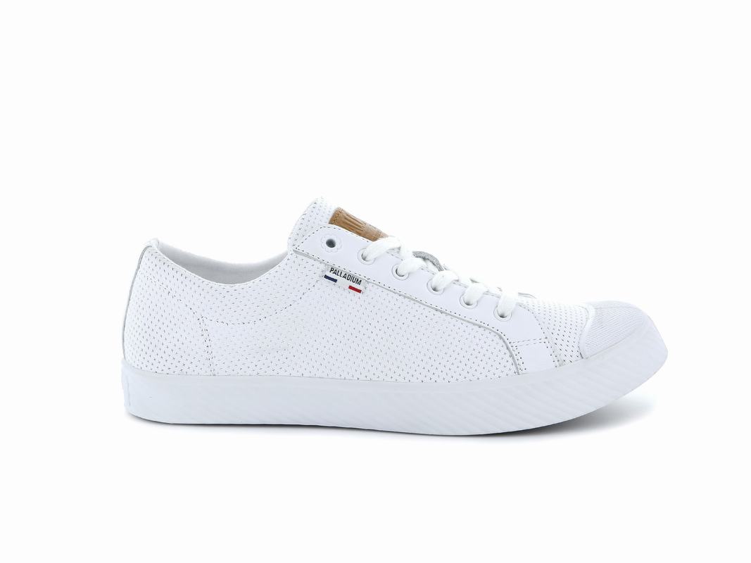 Palladium Pallaphoenix Og Leder Damen Niedrige Sneaker Weiß ||907865-WMI||